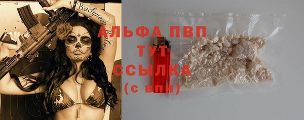 PSILOCYBIN Беломорск