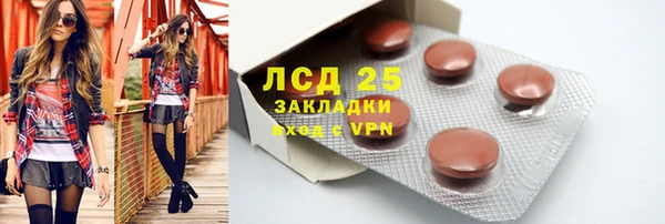 PSILOCYBIN Беломорск