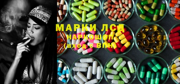 PSILOCYBIN Беломорск