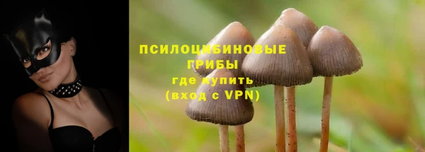 PSILOCYBIN Беломорск