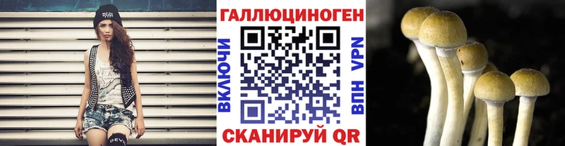 Псилоцибиновые грибы Psilocybine cubensis  наркотики  Шебекино 