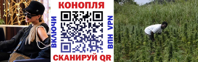 Бошки марихуана THC 21%  даркнет сайт  Шебекино 